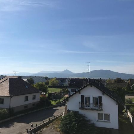 Appartement Chaleureux Et Lumineux Avec Vue ! Au Centre Alsace Sélestat Esterno foto